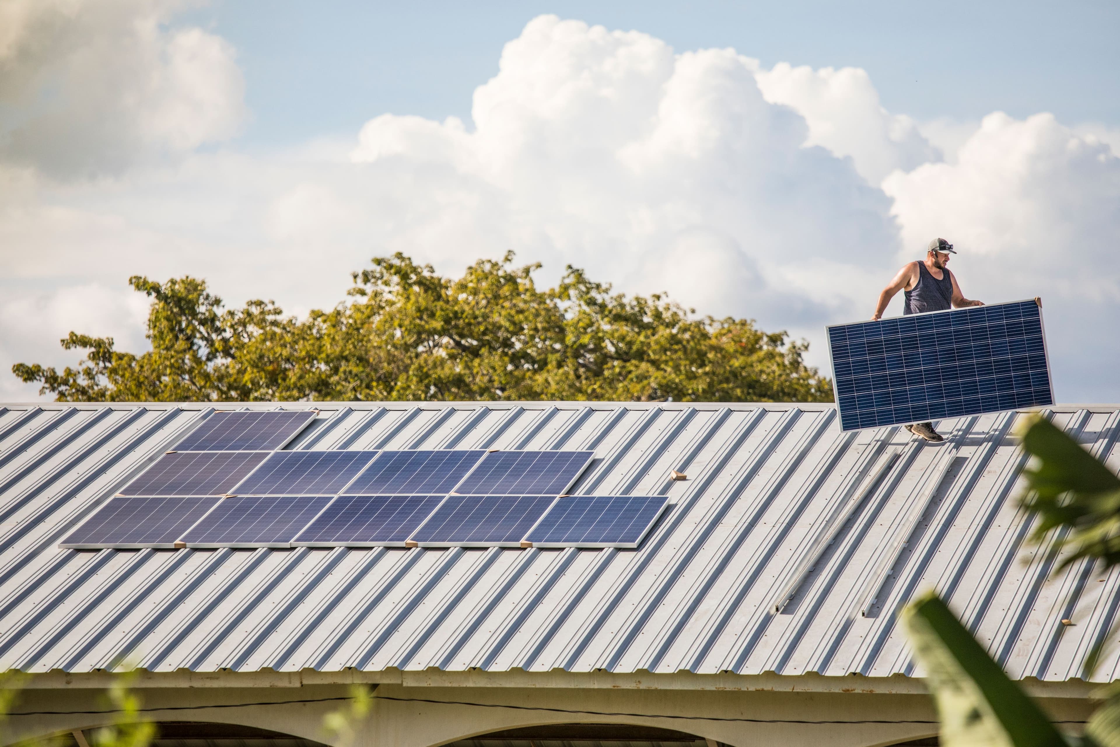 Solar panels mounted across a residential roof in golden afternoon light, the asset quietly earning, or quietly leaking, depending on how it's dispatched.
