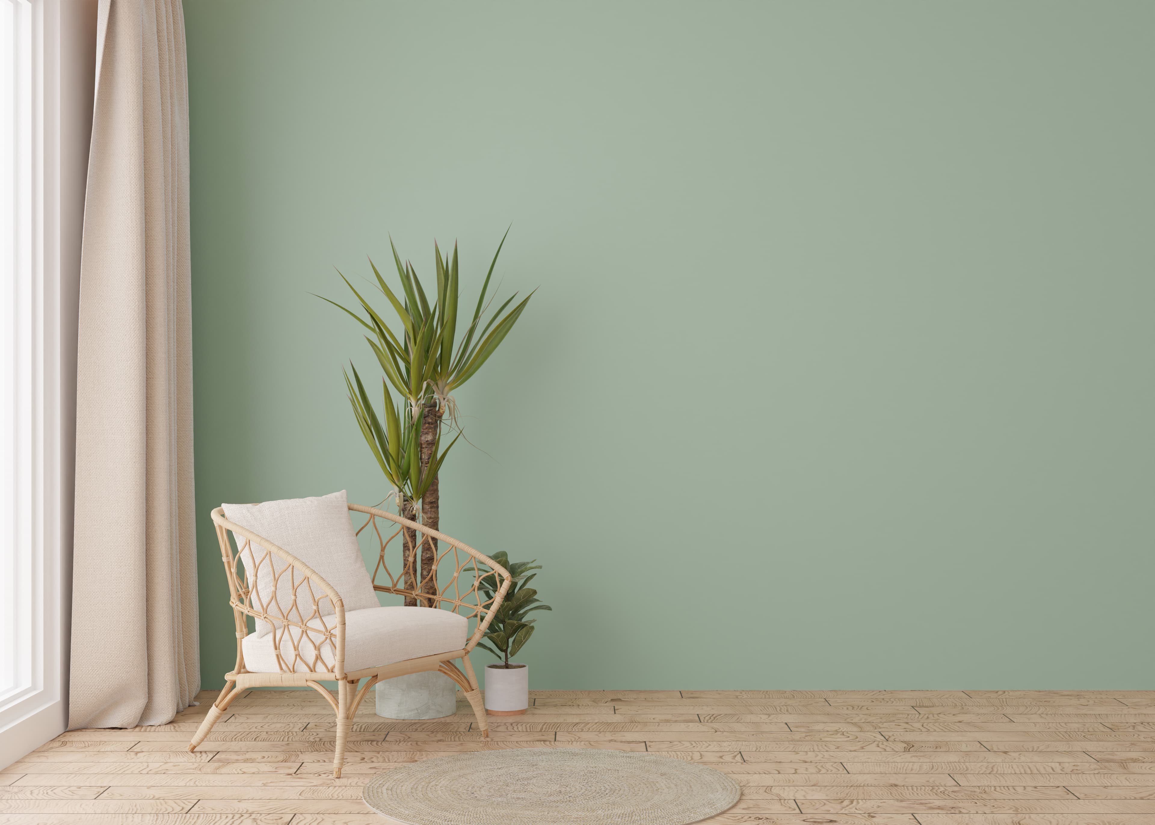 A tranquil living room with a rattan armchair, yucca plant and sage-green wall — the kind of NZ home an electrician walks through on an optional in-person site visit.